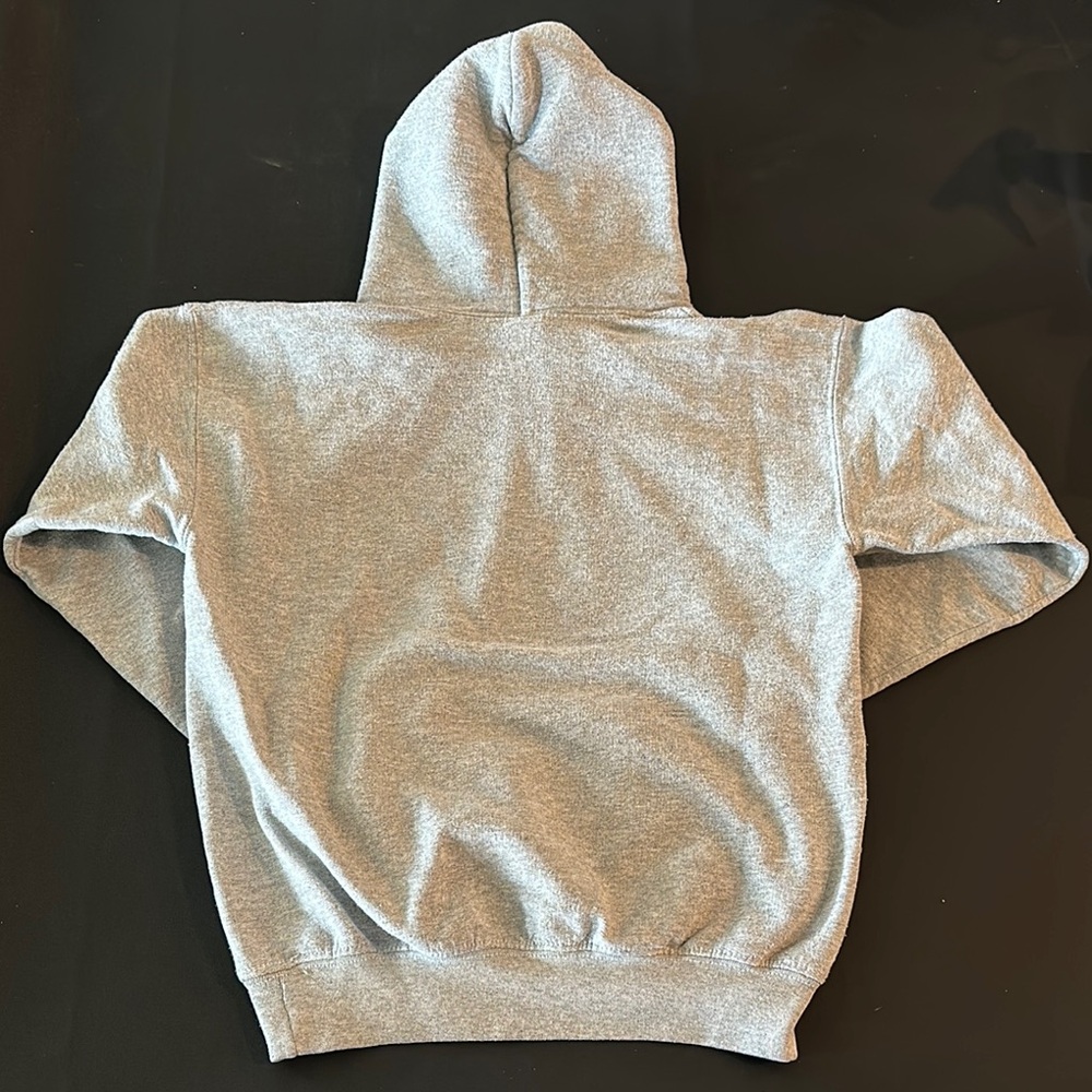 Gildan Gray Lincoln Park Zoo Bear Hoodie for Kids - Picture 5 of 5